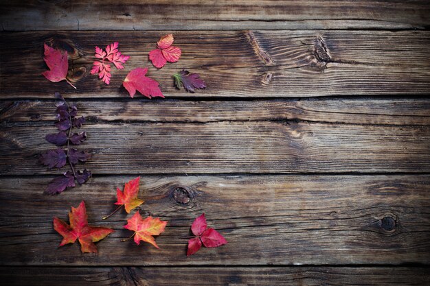 Hojas de otoño sobre superficie de madera vieja oscura