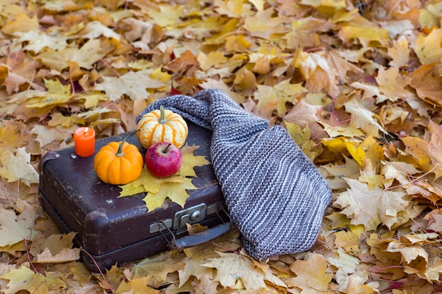 Foto hojas de otoño en el suelo, una maleta sobre ellos, dos calabazas naranjas, manzana y bufanda.