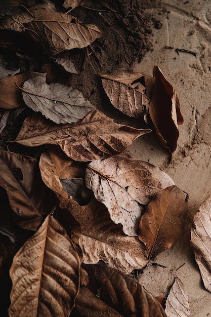 Hojas de otoño en suelo terroso adecuadas para temas estacionales AI Generado