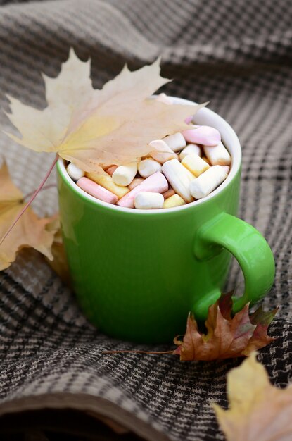 Las hojas de otoño y la taza de café humeante caliente se encuentran en cuadros a cuadros al aire libre