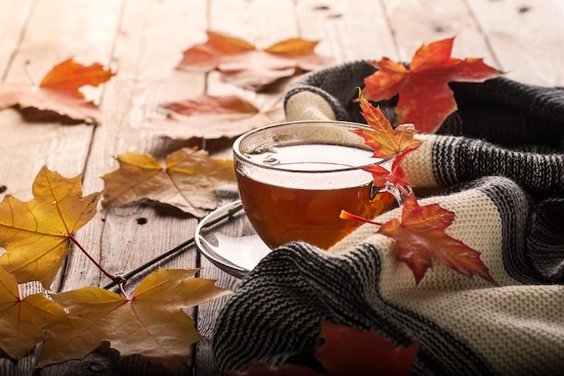 Hojas de otoño y taza de té en la tabla de madera.