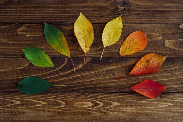 Hojas de otoño transición de verde a rojo sobre fondo de madera