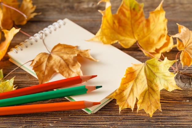 Hojas de otoño en la vieja hoja de papel