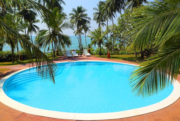 Hojas de palma frente a la piscina en un resort tropical