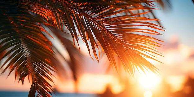 Hojas de palma en la playa al atardecer Fondo tropical