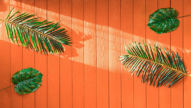 hojas de palmera sobre fondo de madera naranja