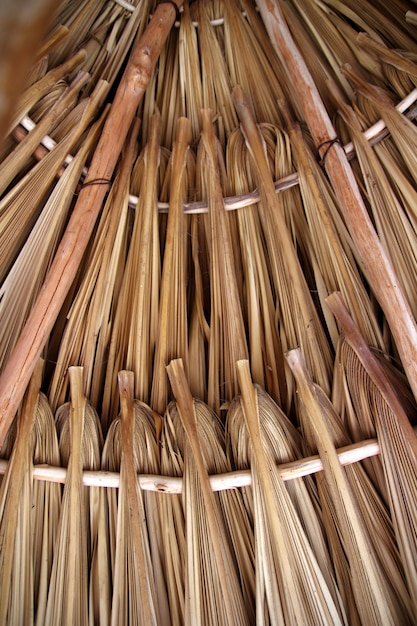 Hojas de palmera en techo de palapa choza de techos