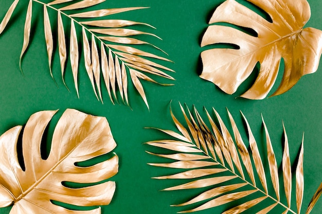 Hojas de palmeras tropicales doradas monstera sobre fondo verde plano vista superior concepto mínimo