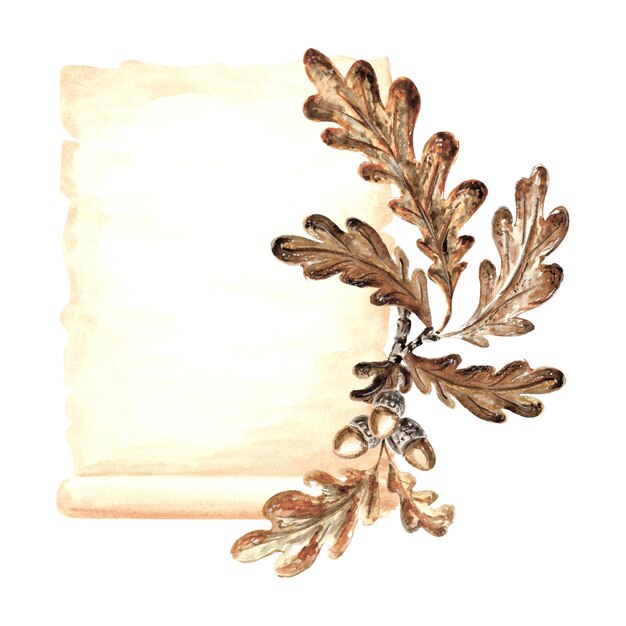 Hojas de papel pergamino antiguo escrito a mano con bellotas y hojas de ramas de roble dibujadas a mano