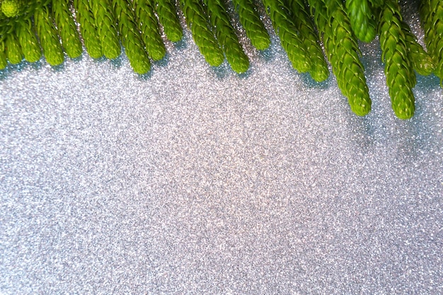 Hojas de pino de navidad con espacio para texto y fondo brillante