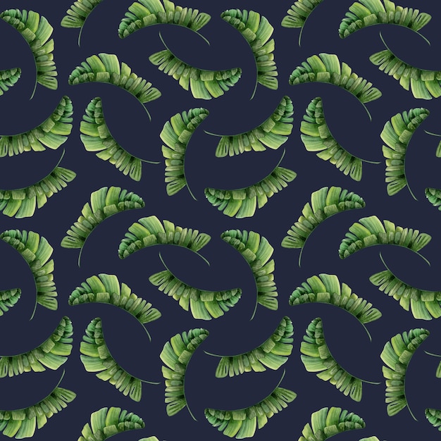 Hojas de plátano tropical acuarela de patrones sin fisuras sobre fondo azul oscuro con plantas de la selva