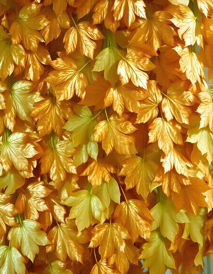 Las hojas reflectantes metálicas del ginkgo en el fondo