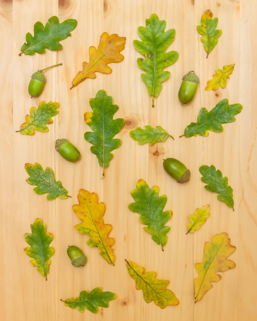 Hojas de roble de diferentes tamaños y bellotas sobre un fondo de madera