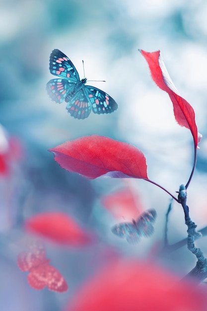 Hojas rojas y mariposas en vuelo en el bosque Otoño brillante fondo natural de verano Naturaleza mágica del otoño