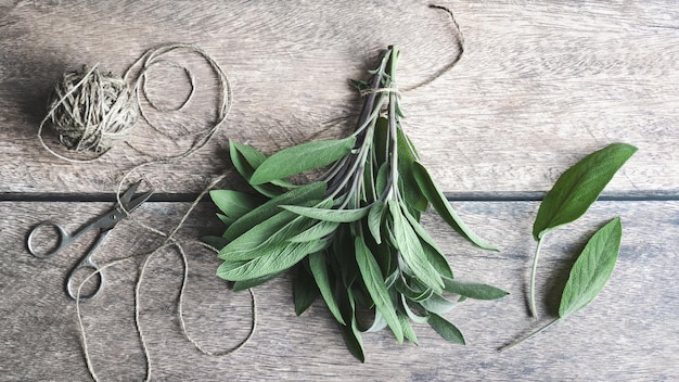 Hojas de salvia atadas con hilo de cáñamo en la mesa de madera hierbas planas vista aérea