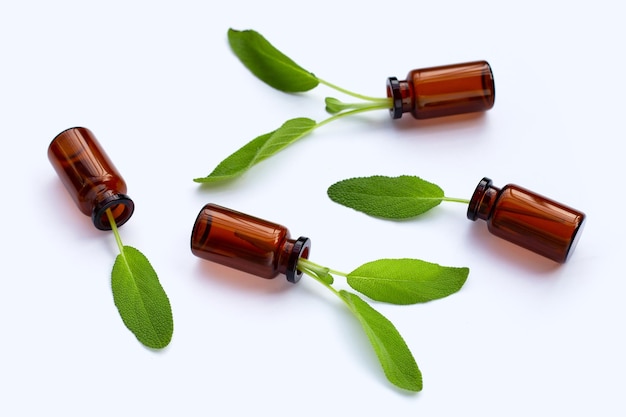 Hojas de salvia con botellas de aceite esencial sobre fondo blanco.