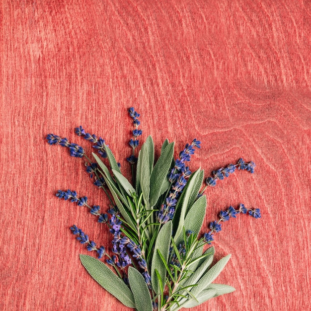 Hojas de salvia lavanda y romero sobre un fondo de madera hierbas picantes frescas