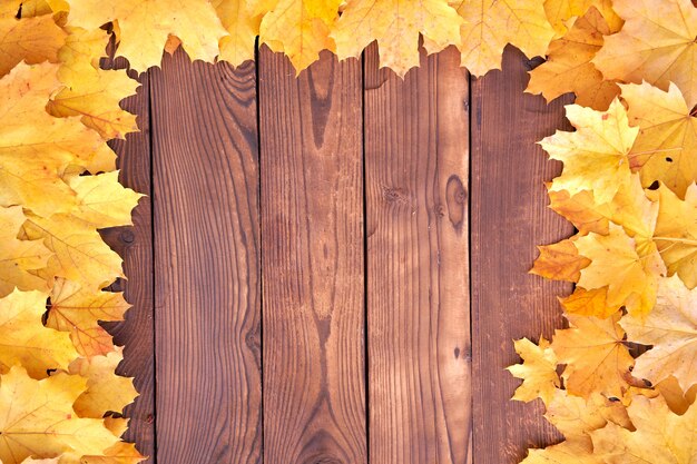 Hojas secas de otoño de arce sobre tablas de madera