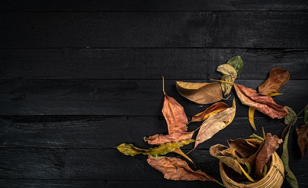 Hojas secas de otoño planas sobre fondo negro con espacio de copia