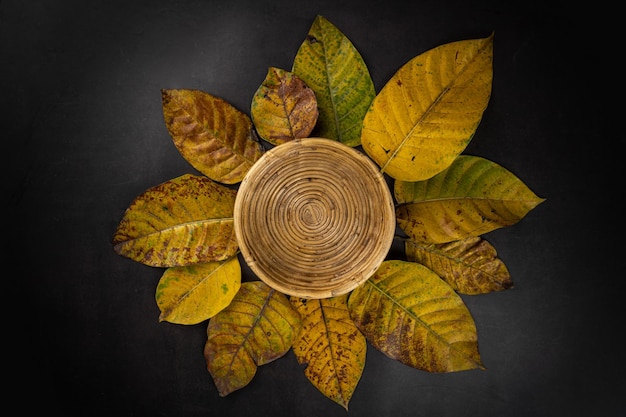 Hojas secas de otoño sobre fondo de madera oscura con espacio para copiar