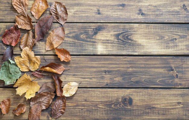 Hojas secas de otoño sobre fondo de madera