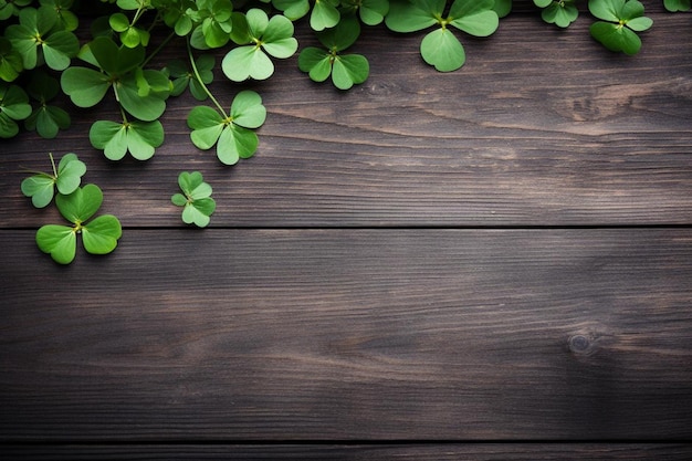 Hojas de trébol sobre fondo de madera en mal estado