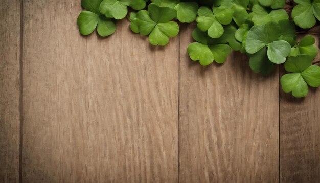 Hojas de trébol verdes en un fondo de madera Día de San Patricio Copiar espacio vacaciones de cerveza