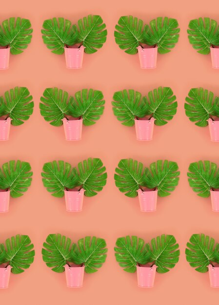 Las hojas tropicales de la monstera de la palma mienten en cubos en colores pastel en colores. Plano tendido modelo minimalista de moda. Vista superior
