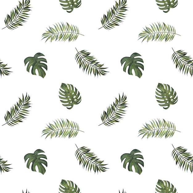 Foto hojas tropicales palmas de monstera strelitzia acuarela con patrón sin costuras