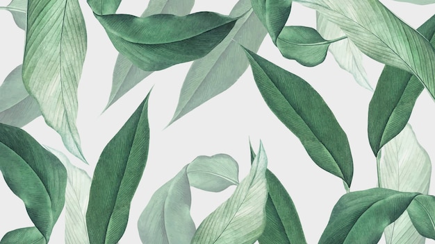 Hojas tropicales papel pintado de escritorio fondo verde