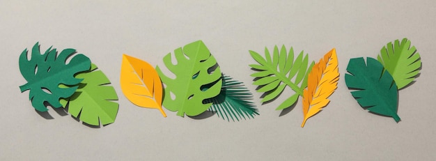 Hojas tropicales de papel verde y amarillo sobre un fondo gris