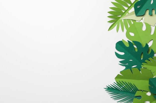 Hojas tropicales de papel verde sobre un fondo claro