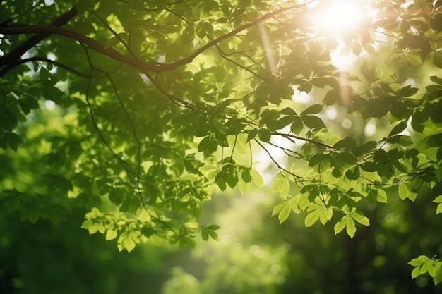 Hojas verdes de un árbol en el bosque