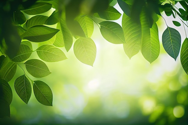 Hojas verdes en un día soleado