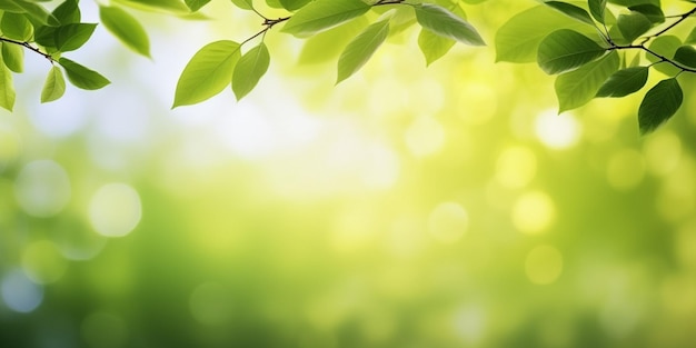 Hojas verdes en un día soleado