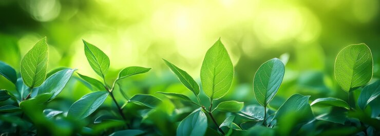 Hojas verdes exuberantes a la luz del sol