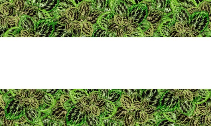 Foto hojas verdes con fondo de banner de espacio en blanco vacío