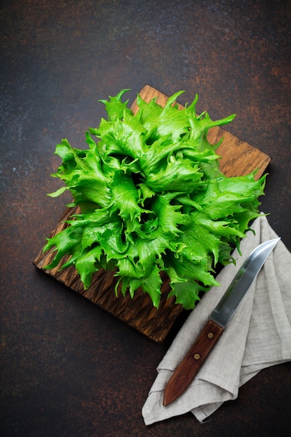 Hojas verdes frescas de lechuga sobre un fondo de hormigón oscuro