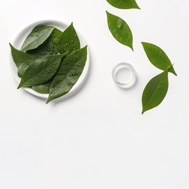 Hojas verdes con gotas de agua en fondo blanco