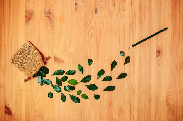 Hojas verdes y lápiz sobre el fondo de madera.