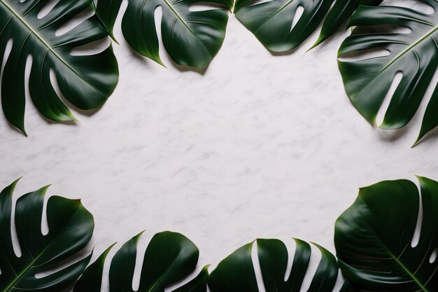 Hojas verdes monstera diseño de marco de naturaleza de arbusto de plantas tropicales sobre fondo blanco