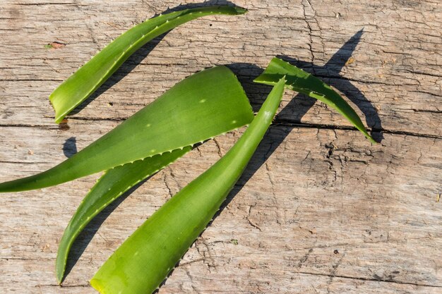 Hojas verdes de la planta de aloe vera sobre fondo de madera rústica