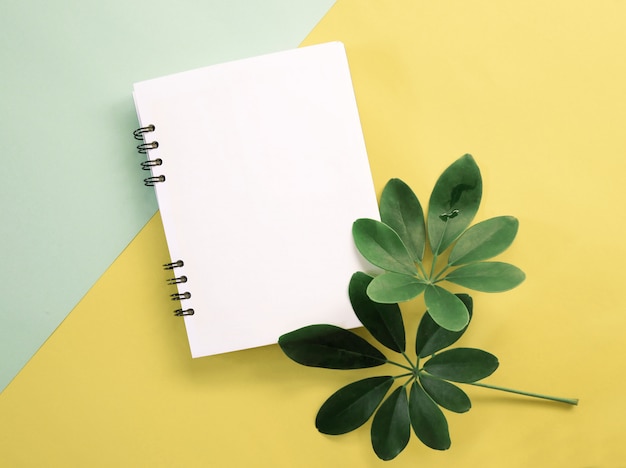 Foto hojas verdes de primavera con cuaderno en blanco