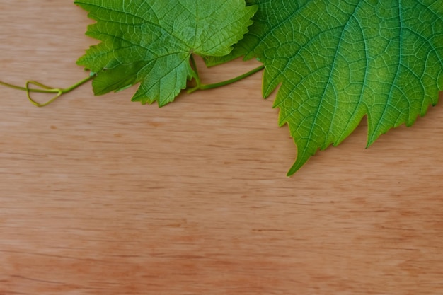 Las hojas de vid sobre un tablero combinan una belleza natural para el fondo.