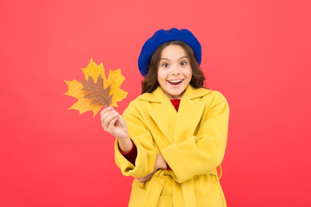 Hola octubre. Niña bienvenido otoño. Niño niña linda cara mantenga la hoja de arce. Disfruta la temporada. Niño con hoja de otoño amarillo. Cambios climáticos. Otoño está aquí. Fondo rojo del traje de la caída de la pequeña niña.