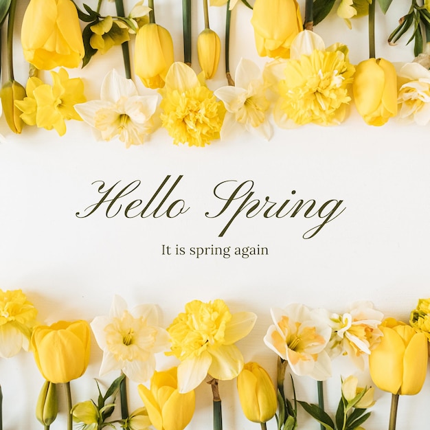Hola Primavera 34