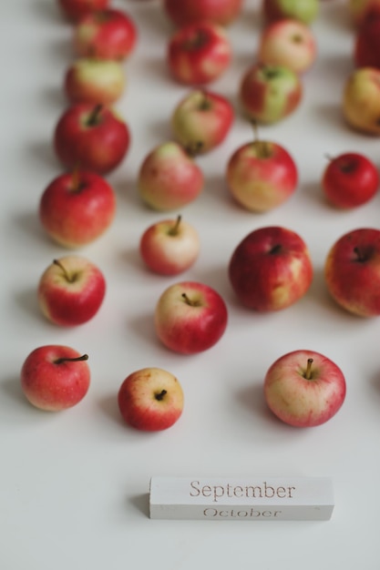 Hola tarjeta de otoño con manzanas rojas frescas en la vista superior de fondo blanco