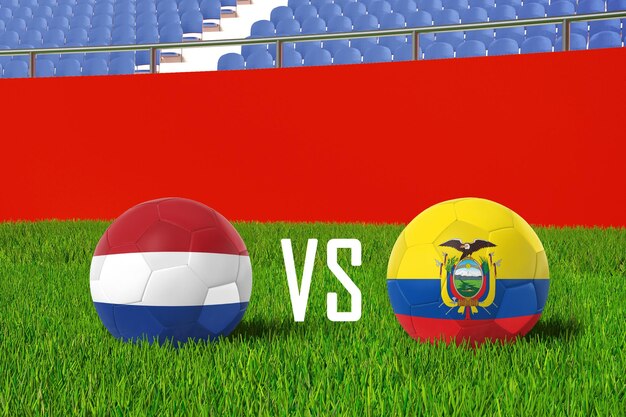 Holanda vs Ecuador en el estadio