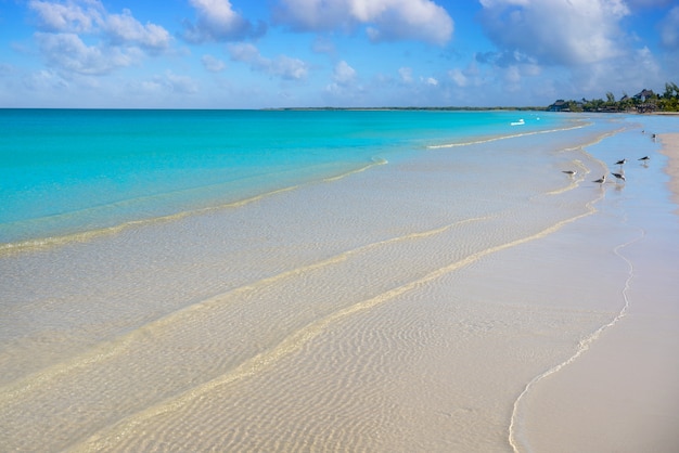 Holbox ilha turquesa em Quintana Roo México