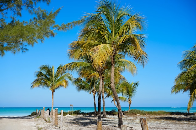 Holbox Insel in Quintana Roo Mexiko